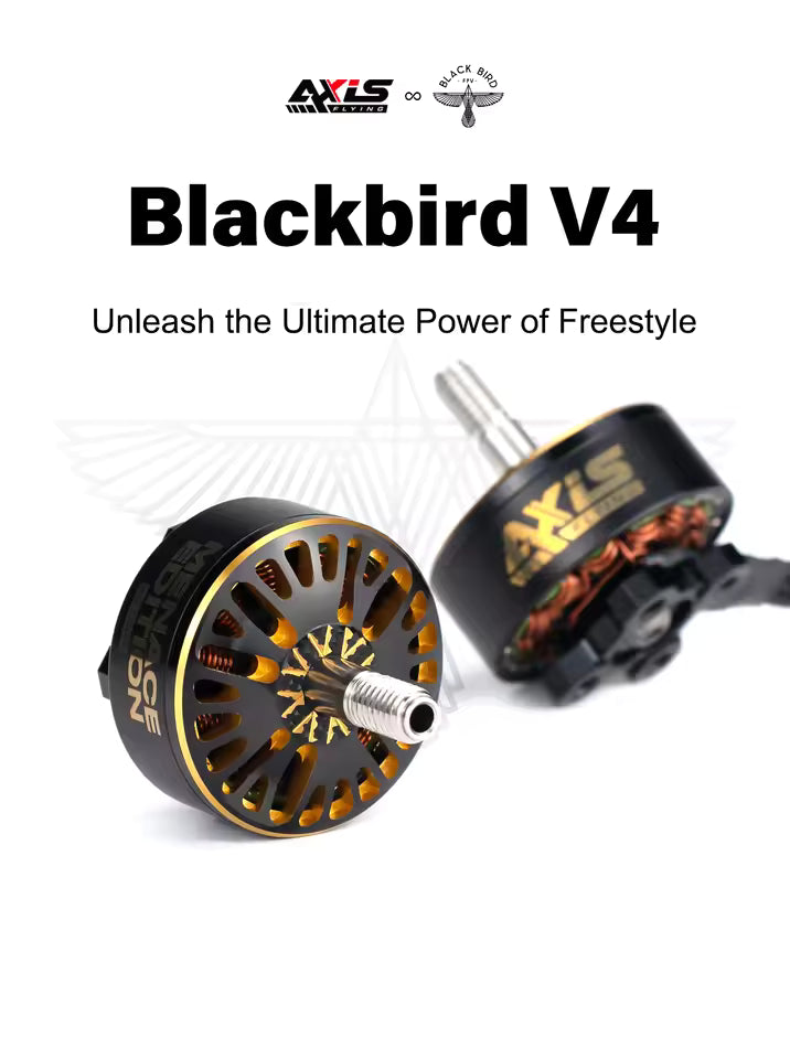 Axisflying Black Bird V4 1960Kv 2307 6s Motor